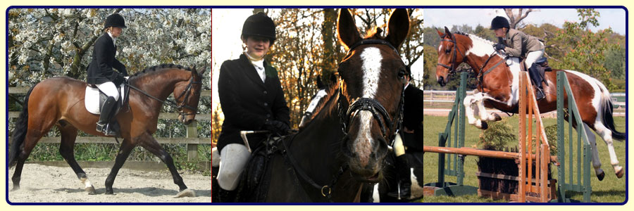 NT Equine Gallery image